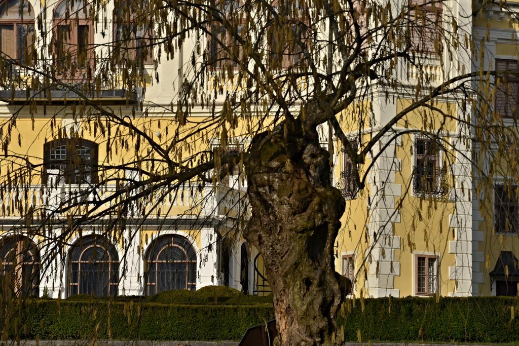 Penzion Pri Kastieli Betliar Zewnętrze zdjęcie